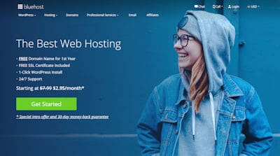 bluehost domain registrar review