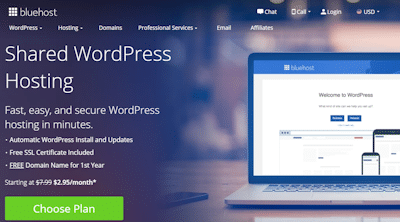 bluehost wp hosting review